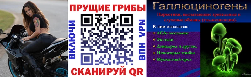 Купить  Нефтекумск  Галлюциногенные грибы MAGIC MUSHROOMS 